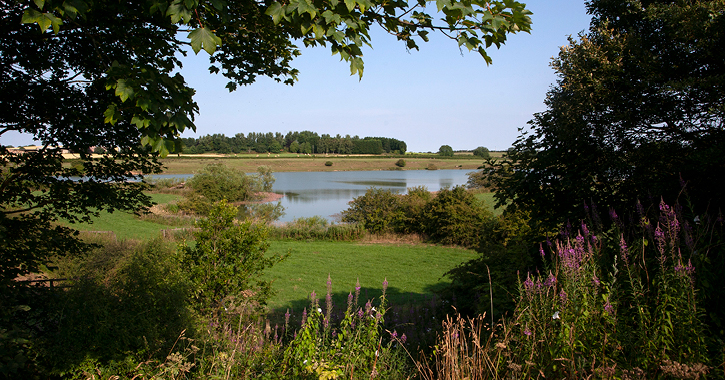 hurworth burn nature reserve